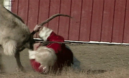 http://reactiongifs.me/wp-content/uploads/2013/12/santa-fight-rudolph-red-nosed-reindeer-doesnt-want-to-work-on-christmas.gif