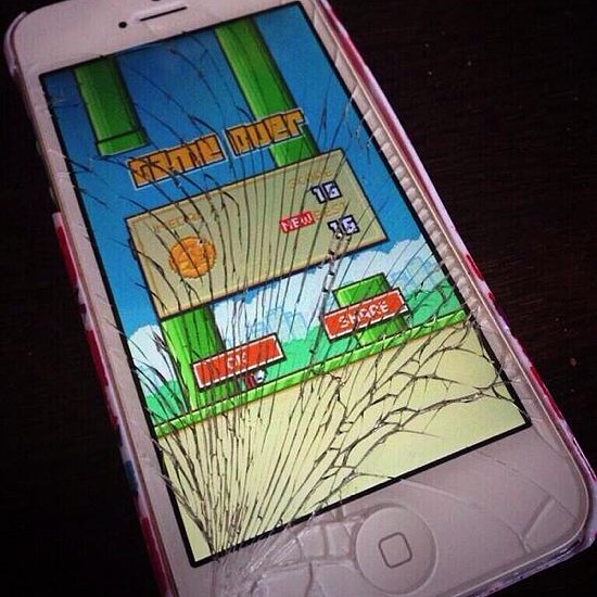 Broken iphone playing Flappy bird
