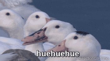 When I see something funny (LOL laughing ducks)