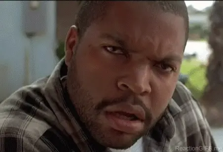 Ice Cube WTF