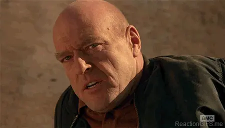 You can go fuck yourself Hank Breaking Bad