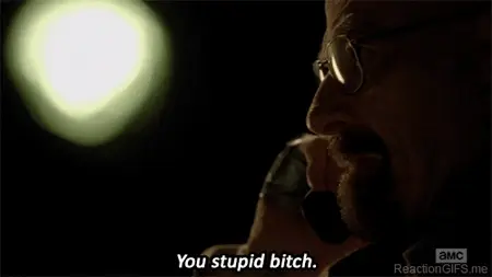You stupid Bitch Walter White on the phone