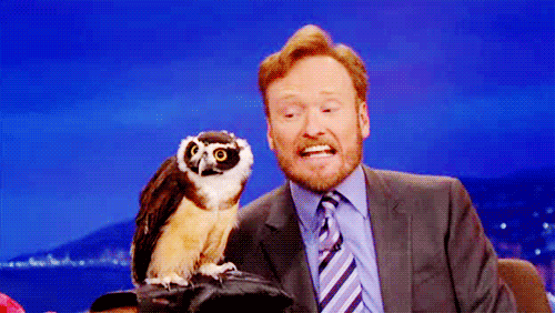 conan-obrien-and-owl-late-night-make-fun-of-somoene-behind-their-back-and-they-turn-arround