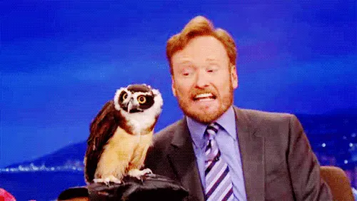 When I make fun of somoene behind their back and they turn arround. Conan O'Brien and owl late night