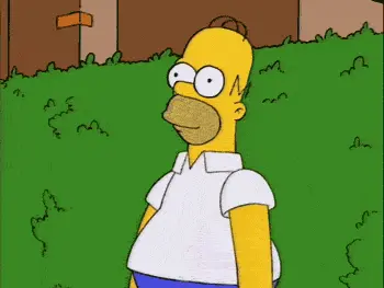 my reaction when I get into an argument with women homer simpson hide in bush disappears