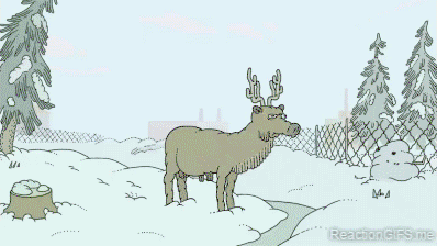 Christmas reindeer transformer