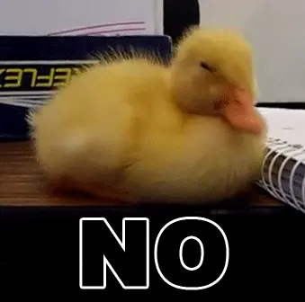 Duckling saying no