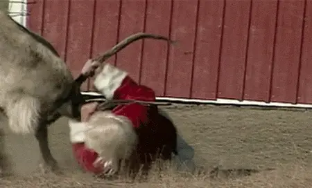 Rudolph Red Nosed Reindeer doesn't want to work on Christmas
