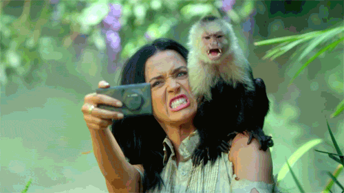 taking-selfies-drunk-katy-perry-roar-monkey