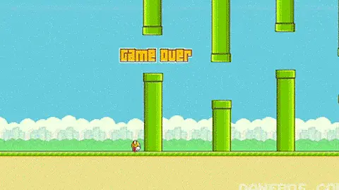 Flappy bird share score of zero