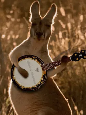 kangaroo playing the banjo