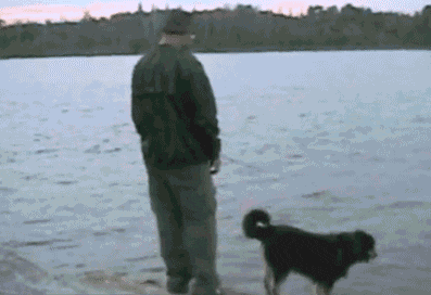 Instant karma. Guy tries to push a dog in the river but he fails and ends himself in the water