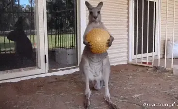 MRW I come home with a toy for my 13 yo daughter and find her french kissing a guy in the backyard