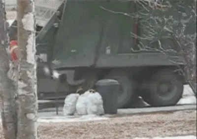 Rage at work, angry garbage man