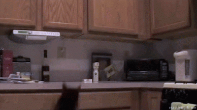 MRW I walk in the kitchen and catch my cat on the counter