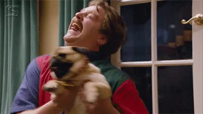Overly Happy Zack Galifianakis Dancing with a pug (The Campaign film)