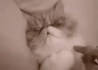 Ready for Monday? Not