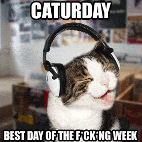 Caturday best day of the week