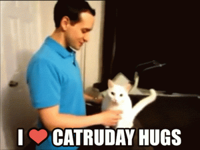 I love caturday hugs