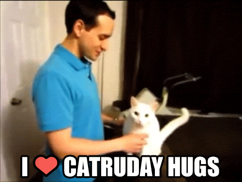 caturday-hugs