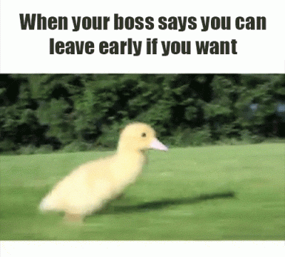 When your boss says you can leave early if you want