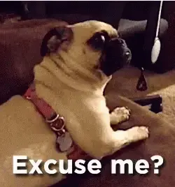 Excuse me?