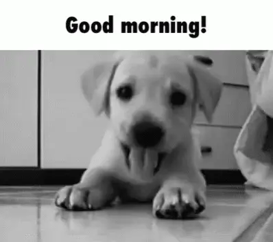 Good morning!