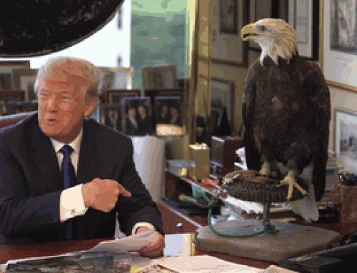 Bald Eagle wants Donald Trump out of the office
