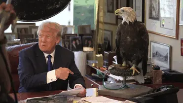 Bald Eagle wants Donald Trump out of the office