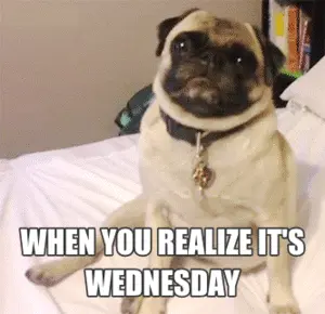 When you realize it's Wednesday