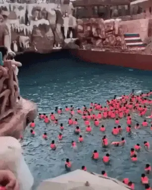 Busy day at the wave pool