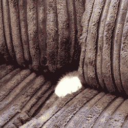 Iz Safe?