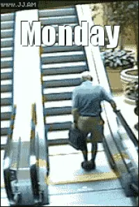 Monday