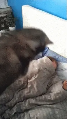 Waking up on Mondays