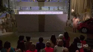 Bees!!! (Oprah)
