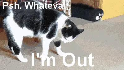 Cat Goodbye
