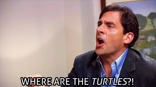 Where Are The Turtles