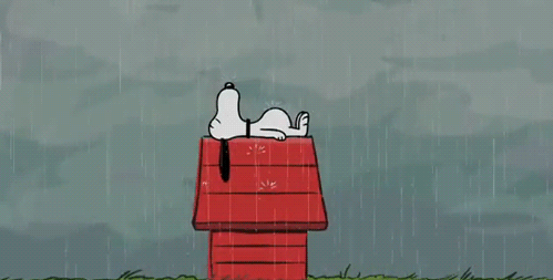 Snoopy In The Rain