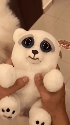Funny Gif Lol