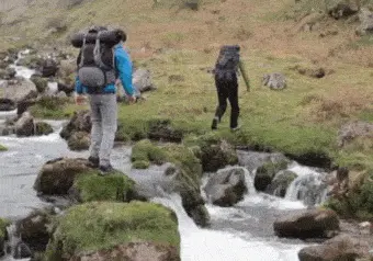 Fall