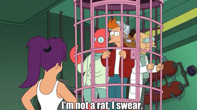 I’m not a rat, I swear. (Futurama)