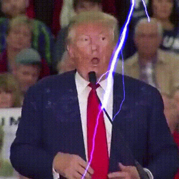 Shocking Donald Trump