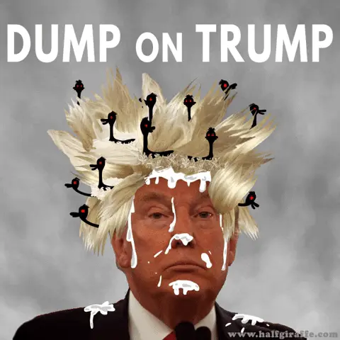 Trump Dump