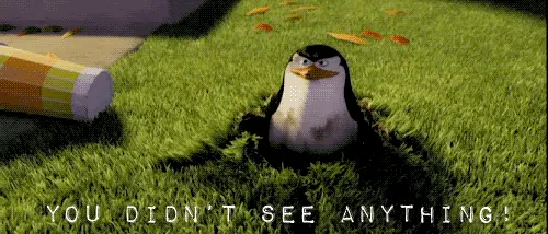 You Didn’t See Anything (Madagascar)