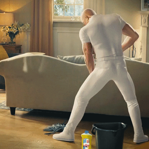Mr Clean Cleaning Up
