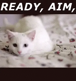 Ready, Aim, Fire!