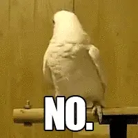 Definitely Not!