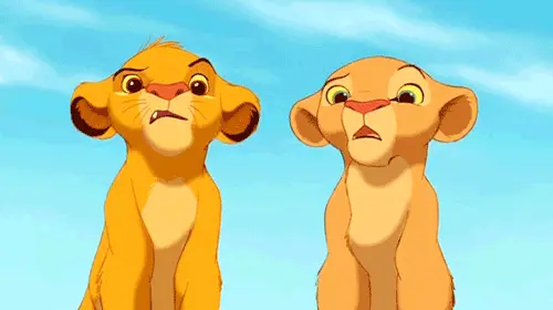 Confused (The Lion King)
