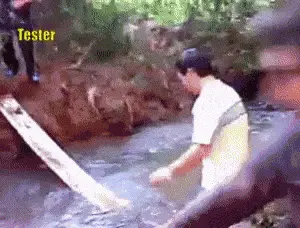 Client vs Developers