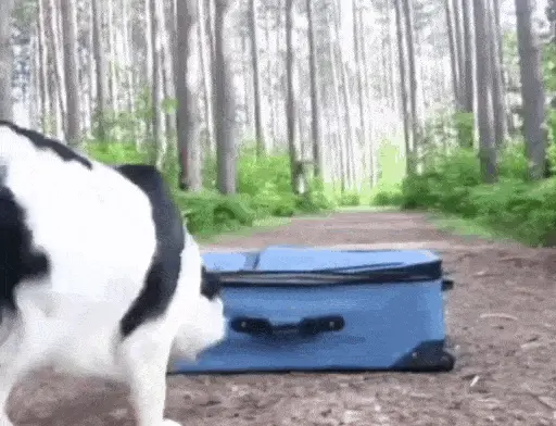 Going on a trip